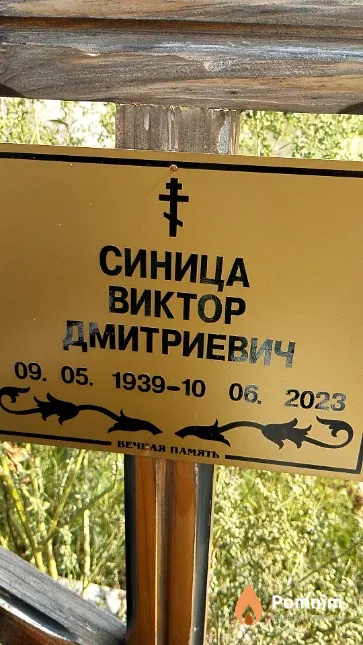 Синица Виктор Дмитриевич