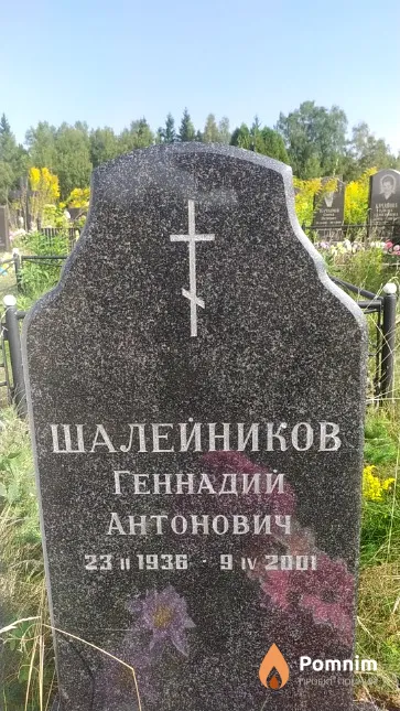 Шалейников Геннадий Антонович