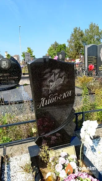 Лидочка Лидочка