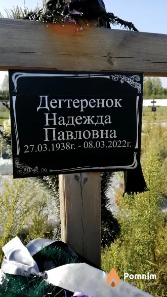 Дегтеренок Надежда Павловна
