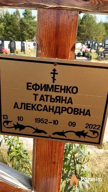 Ефименко Татьяна Александровна