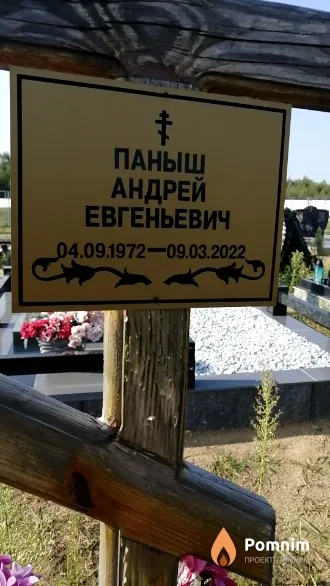 Паныш Андрей Евгеньевич