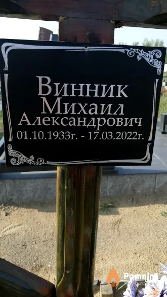 Винник Михаил Александрович