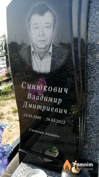 Синюкович Владимир Дмитриевич