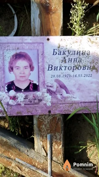 Бакулина Анна Викторовна