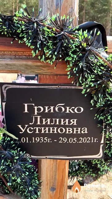 Грибко Лилия Устиновна