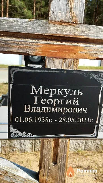Меркуль Георгий Владимирович