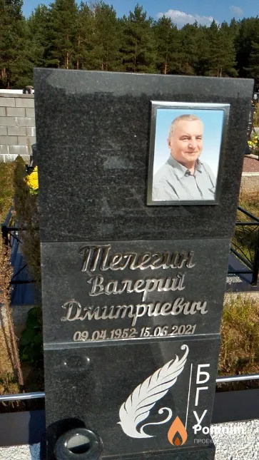 Телегин Валерий Дмитриевич