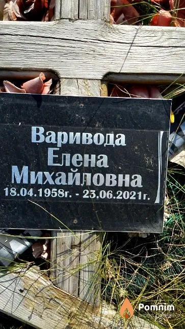 Варивода Елена Михайловна