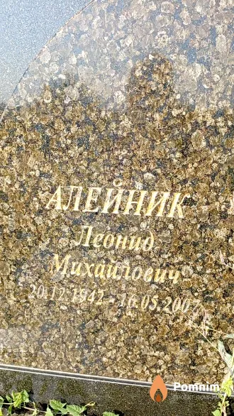 Алейник Леонид Михайлович