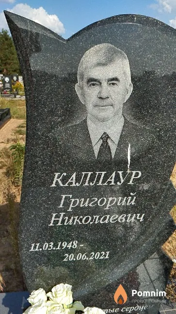 Каллаур Григорий Николаевич