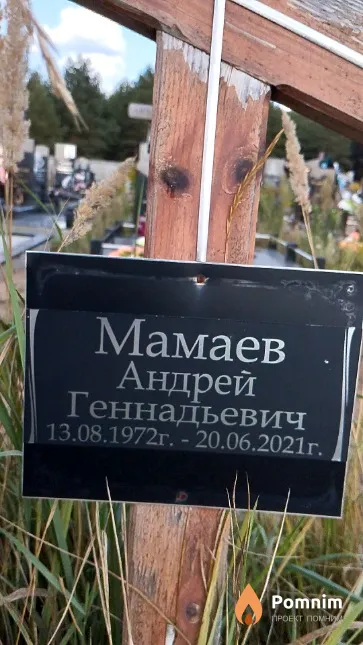 Мамаев Андрей Геннадьевич