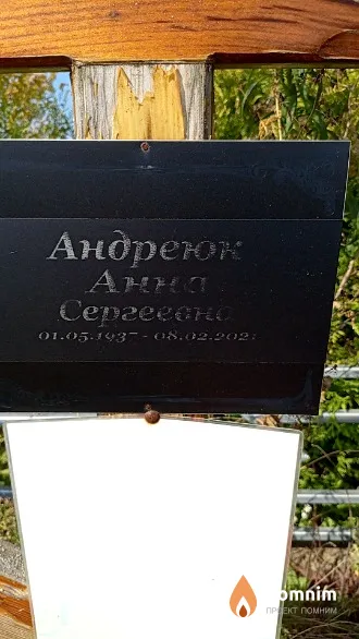 Андреюк Анна Сергеевна
