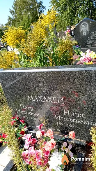 Махахей Нина Игнатьевн