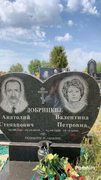 Добрицкий Анатолий Степанович