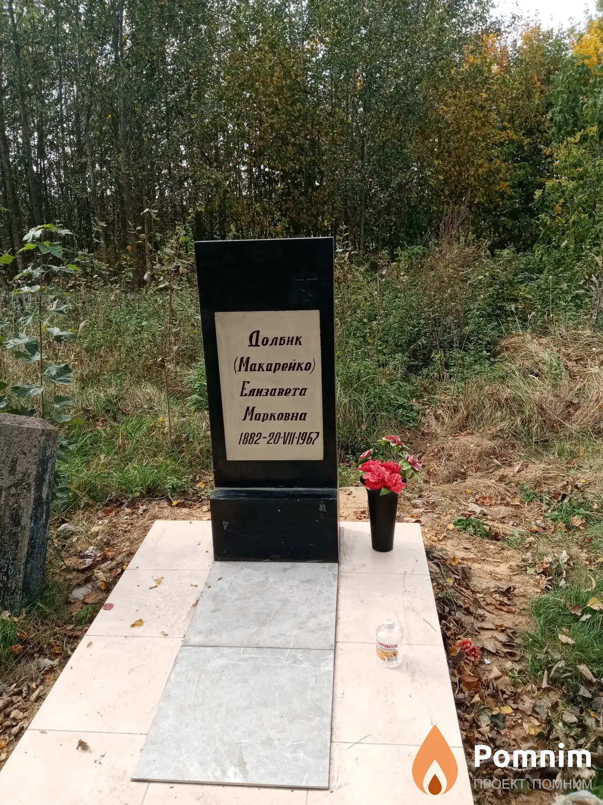Долбик Елизавета Марковна