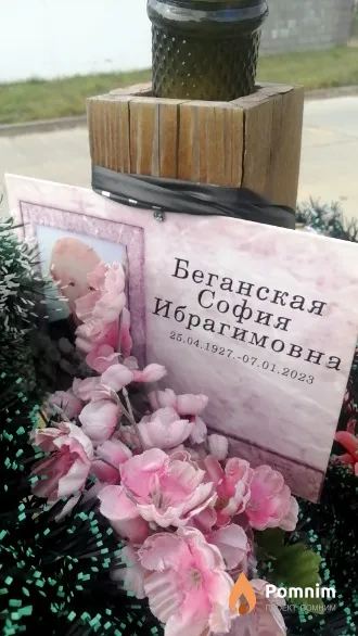 София Беганская Ибрагимовна