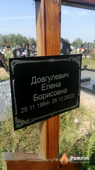 Довгулевич Елена Борисовна