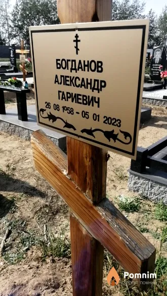 Богданов Александр Гариевич