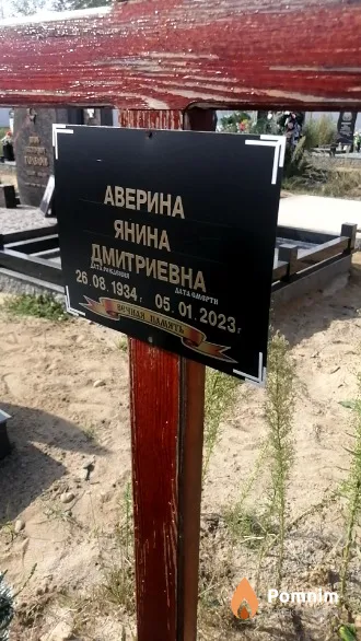 Аверина Янина Дмитриевич