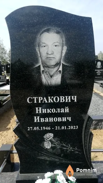 Стракович Николай Иванович