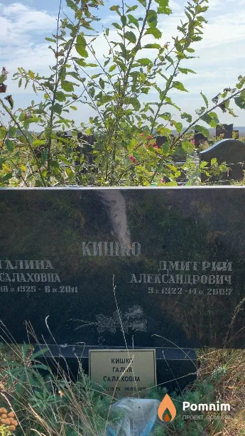 Кишко Дмитрий Александрович