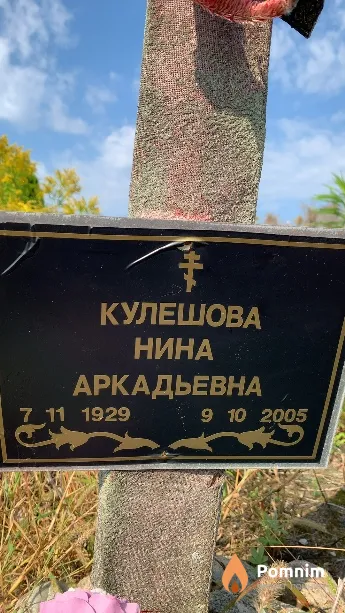 Кулешова Нина Аркадьевна