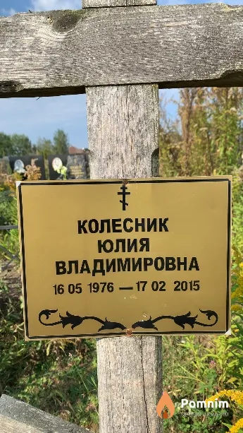 Колесник Юлия Владимировна