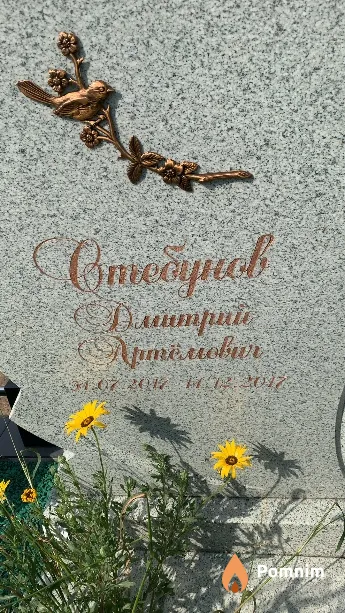 Стебунов Дмитрий Артёмович