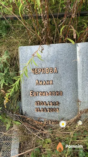 Чернова Лилия Евгеньевна