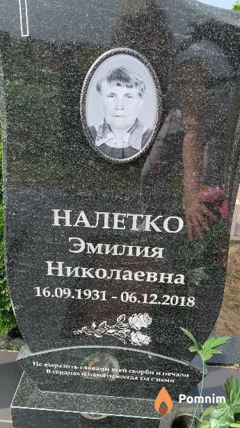 Налетко Эмилия Николаевна