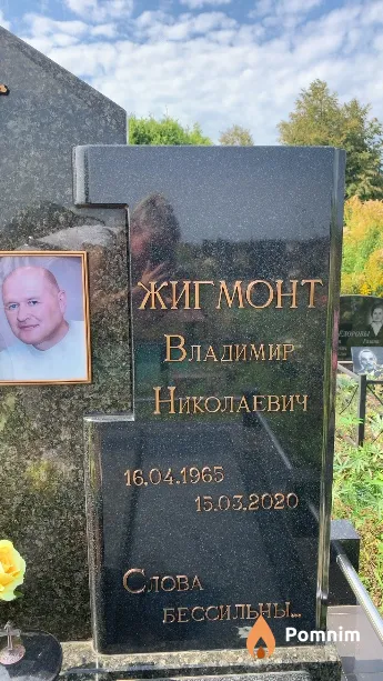 Жигмонт Владимир Николаевич