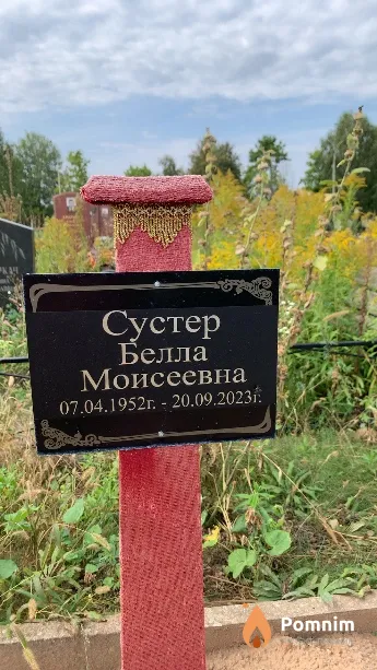 Сустер Белла Моисеевна