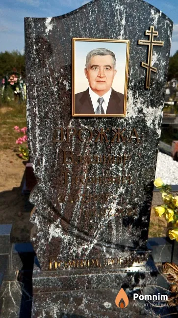Дрожжа Владимир Тихонович