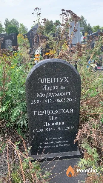 Элентух Израиль Мордухович