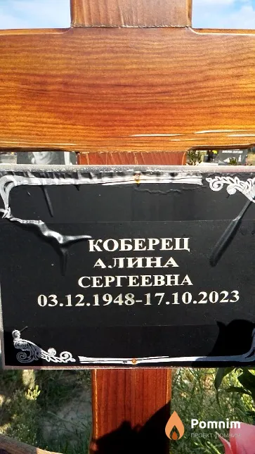Коберец Алина Сергеевна