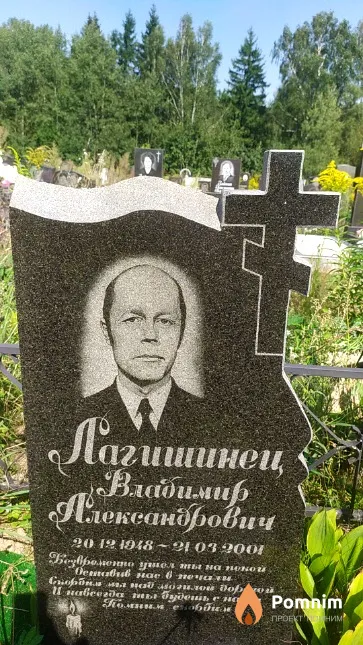 Лагишинец Владимир Александрович