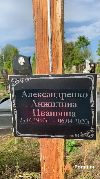 Александренко Анжилина Ивановна