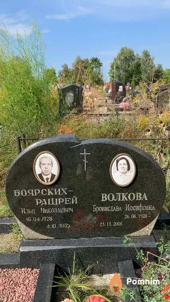 Боярских-Рашрей Илья Николаевич