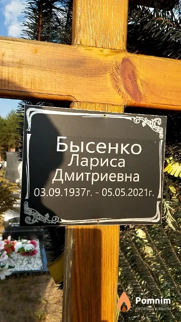 Бысенко Лариса Дмитриевна