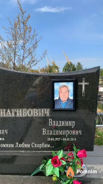 Нагибович Владимир Владимирович