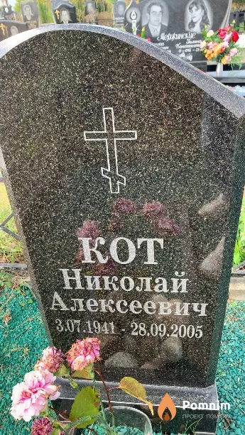 Кот Николай Алексеевич