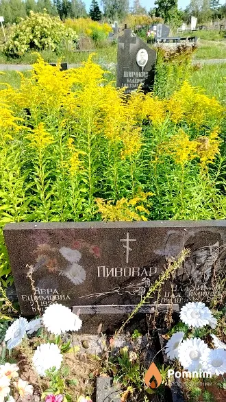 Пивовар Вера Ефимовна