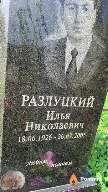 Разлуцкий Илья Николаевич