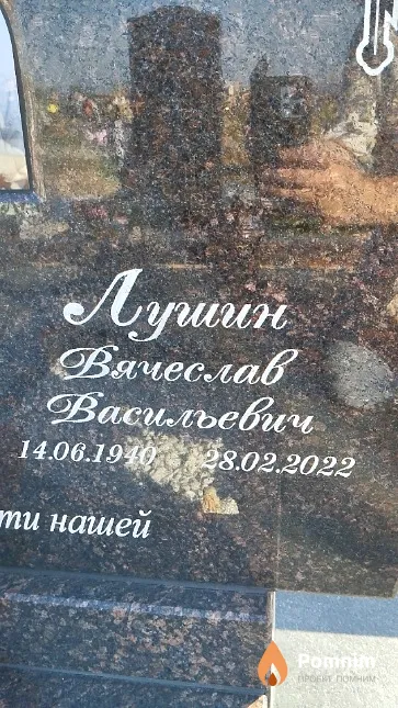 Лушин Вячеслав Васильевич