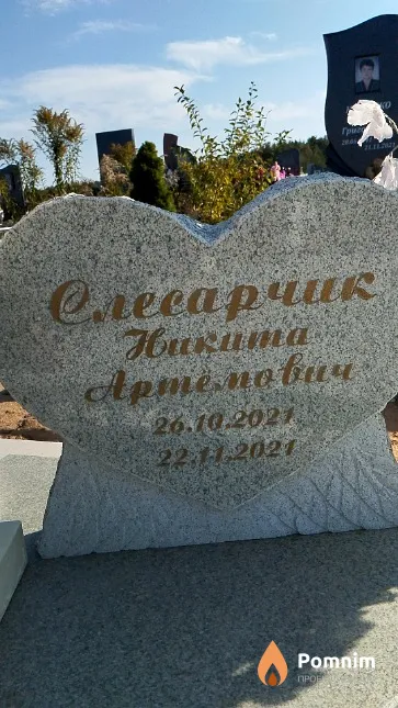 Слесарчик Никита Артемович