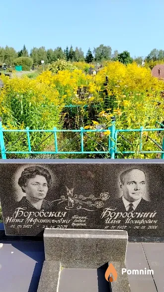 Боровский Илья Иосифович
