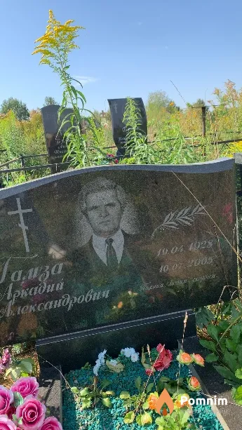 Гамза Аркадий Александрович