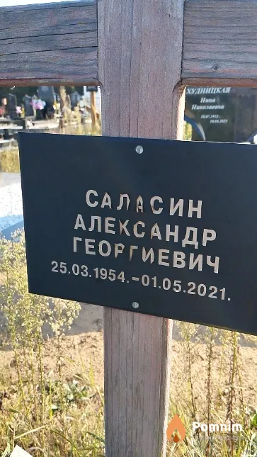 Саласин Александр Георгиевич