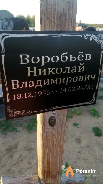 Воробьёв Николай Владимирович